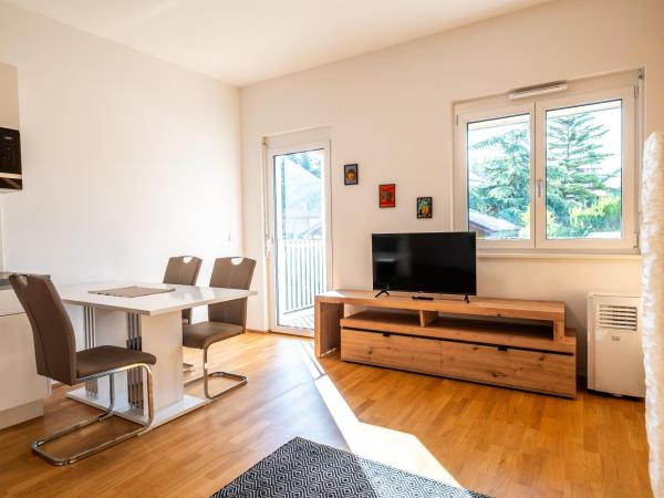 sHome Apartments Graz Ost - Self-Check-in & free parking : photo 5 de la chambre appartement 1 chambre avec terrasse