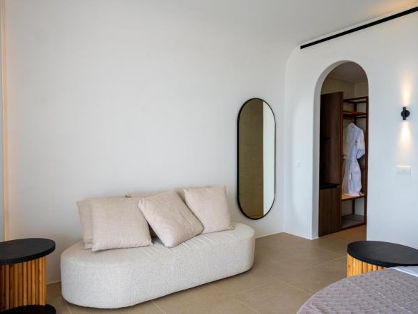Muse Of Mykonos Luxury Suites : photo 7 de la chambre grand suite with outdoor pool