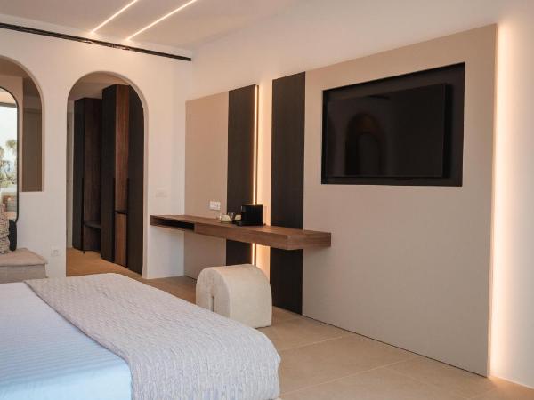 Muse Of Mykonos Luxury Suites : photo 8 de la chambre premium suite with outdoor pool