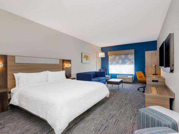 Holiday Inn Express & Suites Tampa Stadium - Airport Area, an IHG Hotel : photo 4 de la chambre suite lit king-size