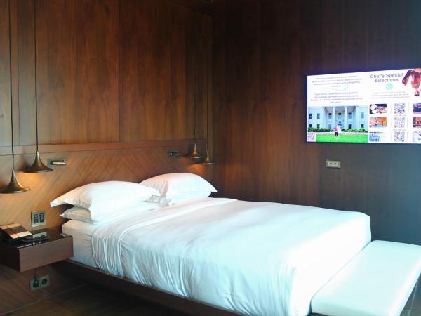 Hyatt Centric Levent Istanbul : photo 4 de la chambre suite lit queen-size avec terrasse