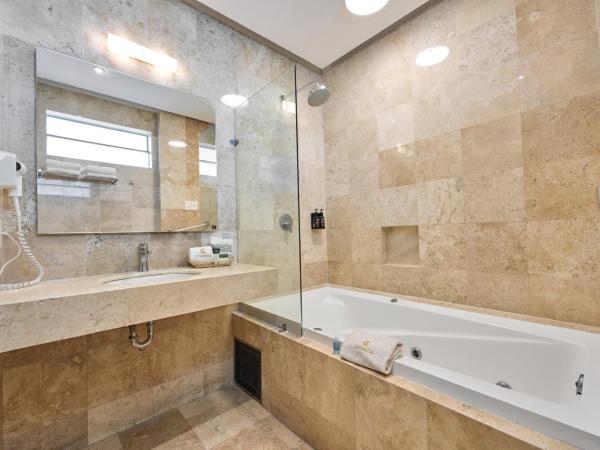 Hotel Estancia Business Class : photo 4 de la chambre suite lit king-size avec baignoire spa