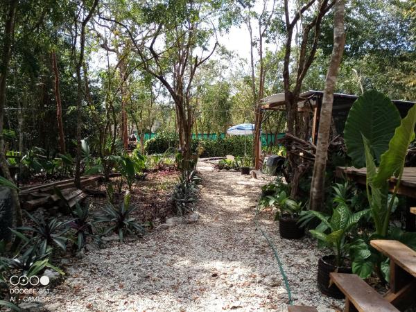 Cozumel Glamping : photo 4 de la chambre tente