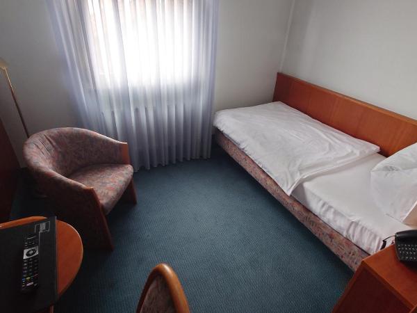 Hotel Löwen-Seckenheim : photo 3 de la chambre chambre simple Économique