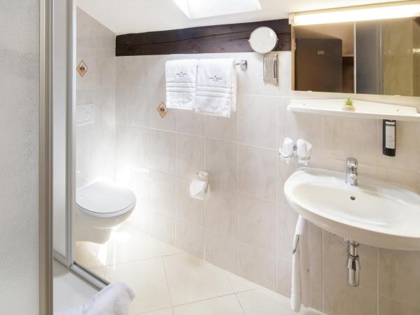 Albergo Mirador Ascona : photo 10 de la chambre suite junior