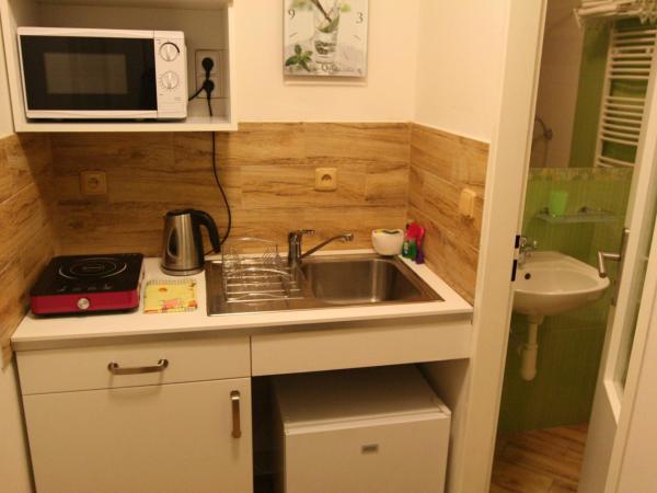 Hotel Na Vodách : photo 3 de la chambre studio entrée par le jardin - vue sur jardin