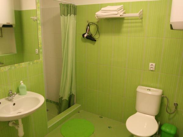 Hotel Na Vodách : photo 5 de la chambre studio