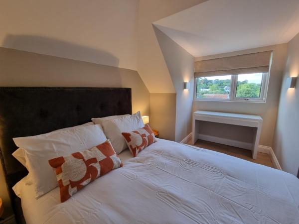 The Ivy Apartments : photo 1 de la chambre appartement loft 1 chambre