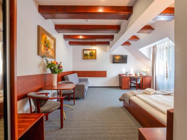 Malachit Karpacz SPA Hotel : photo 4 de la chambre appartement