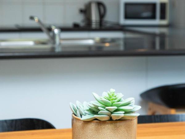 Byron Lakeside Holiday Apartments : photo 4 de la chambre appartement 3 chambres