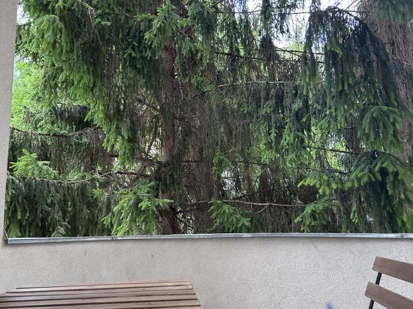 Black Style ROOMS Moravske namesti : photo 9 de la chambre chambre quadruple avec balcon