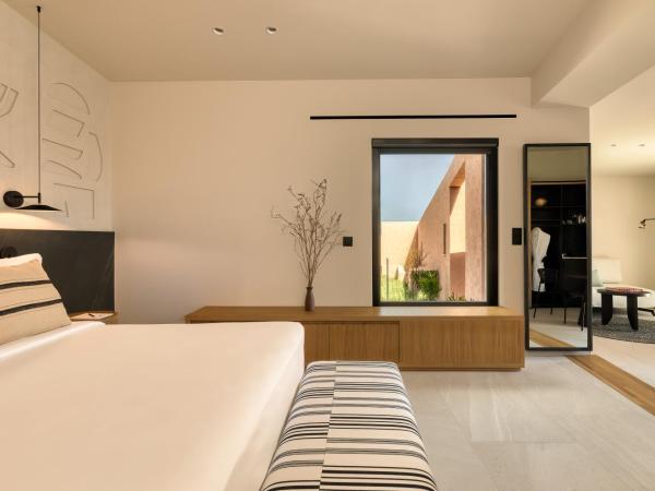 Domes Novos Santorini, Autograph Collection : photo 3 de la chambre anesis bungalow with zen pool