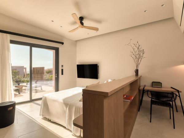 Domes Novos Santorini, Autograph Collection : photo 3 de la chambre echoes retreat with zen pool