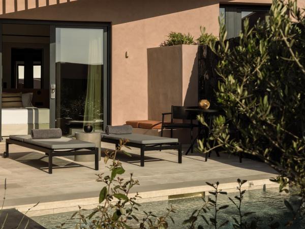 Domes Novos Santorini, Autograph Collection : photo 1 de la chambre echoes retreat with zen pool