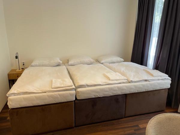 Apartmány Hrázní : photo 1 de la chambre suite familiale