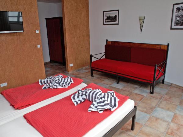 Seminar- und Gästehaus Flussbad Gartenstrasse : photo 4 de la chambre chambre lits jumeaux