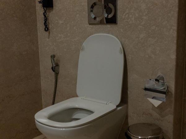 Sarovar Premiere Jaipur : photo 2 de la chambre deluxe king room: avail 20% discount on fnb & (1+1 happy hour from 1pm - 11pm on selected brands at lattice bar)