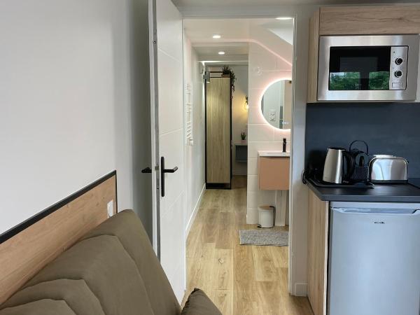 Les studios du chemins vert : photo 2 de la chambre appartement