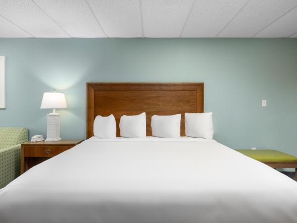 Beachside Resort Panama City Beach : photo 10 de la chambre studio lit king-size avec canapé-lit - accessible aux personnes à mobilité réduite