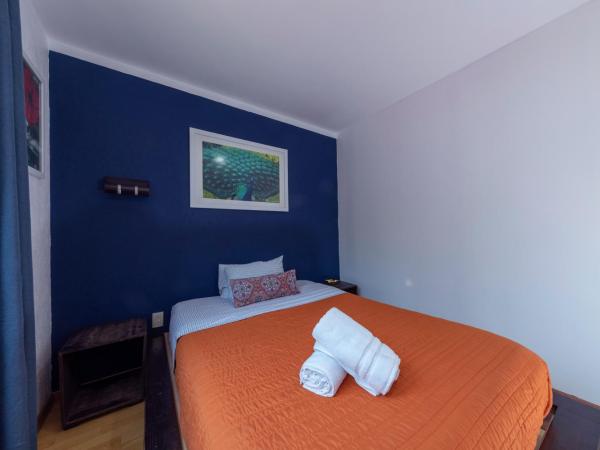 Casa Hidalgo En El Corazón de Coyoacán : photo 4 de la chambre chambre double - vue sur jardin