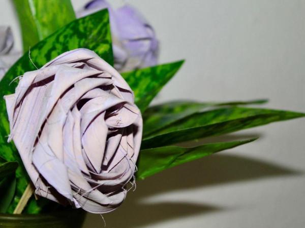 Casa Samay : photo 1 de la chambre double room with fans and shared bathroom