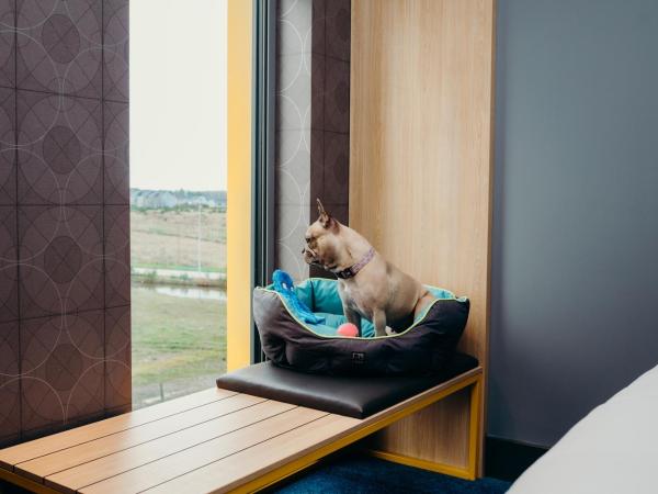 Aloft Aberdeen TECA : photo 1 de la chambre chambre lit king-size