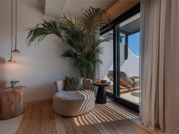 Asty Mykonos Hotel & Spa - World of One Hotel Group : photo 5 de la chambre chambre double supérieure avec piscine privée