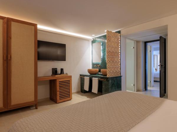 Asty Mykonos Hotel & Spa - World of One Hotel Group : photo 7 de la chambre suite amis & famille 2 chambres avec piscine privée