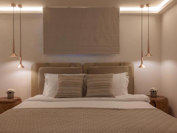 Asty Mykonos Hotel & Spa - World of One Hotel Group : photo 8 de la chambre suite amis & famille 2 chambres avec piscine privée