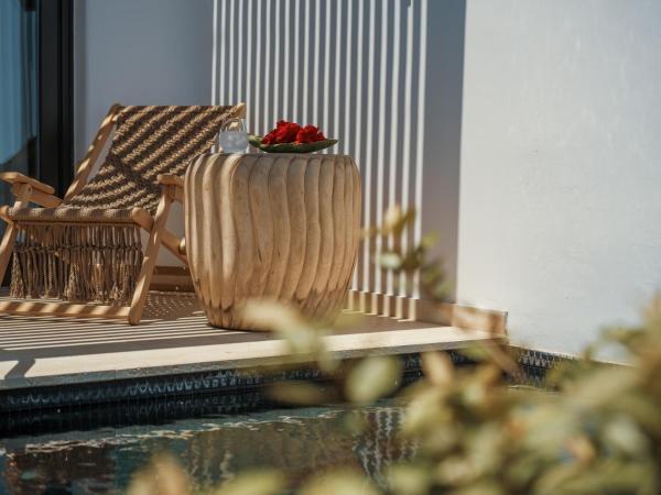 Asty Mykonos Hotel & Spa - World of One Hotel Group : photo 8 de la chambre maisonnette supérieure avec petite piscine