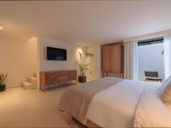 Asty Mykonos Hotel & Spa - World of One Hotel Group : photo 4 de la chambre maisonnette asty avec piscine privée