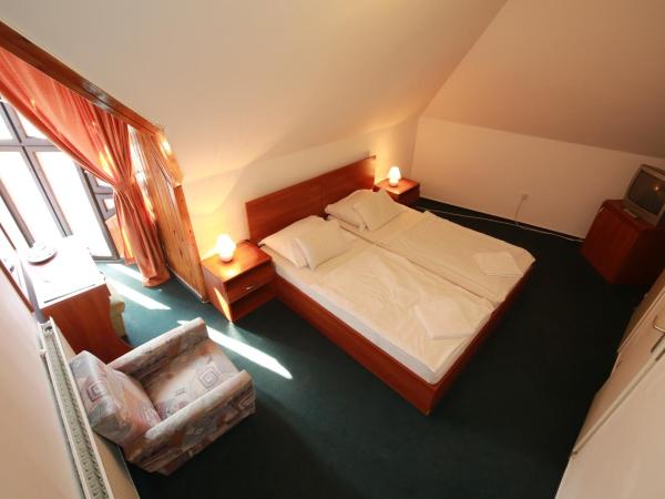 Hotel Főnix : photo 2 de la chambre chambre double standard