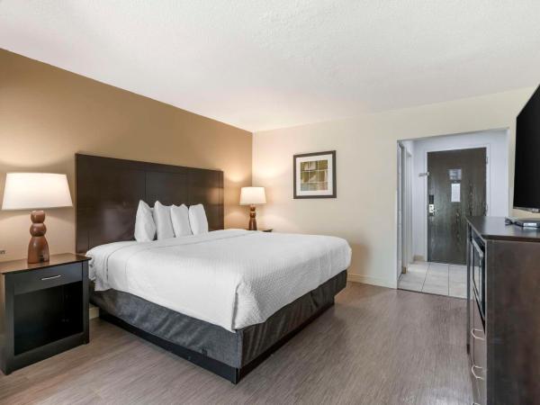 Best Western Suites Columbus : photo 2 de la chambre suite lit king-size avec canapé-lit - non-fumeurs