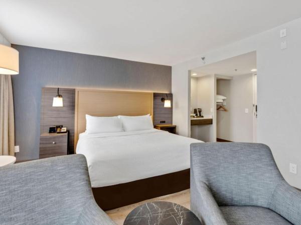 Holiday Inn & Suites Ottawa Kanata, an IHG Hotel : photo 5 de la chambre chambre lit king-size avec douche accessible en fauteuil roulant