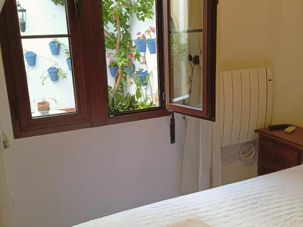 La Posada del Molino : photo 8 de la chambre petite chambre double