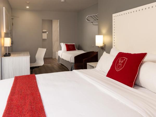 Hotel du Nord : photo 1 de la chambre chambre triple