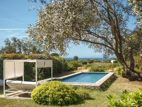 Les lofts de palombaggia : photo 1 de la chambre villa avec piscine privée