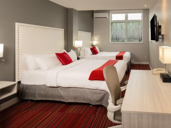 Hotel du Nord : photo 6 de la chambre chambre avec 2 grands lits queen-size 