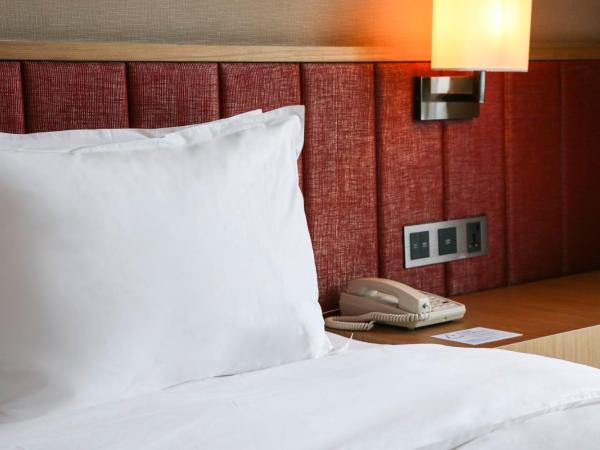 Holiday Inn Express Chengdu Wenjiang Hotspring, an IHG Hotel : photo 4 de la chambre suite lit king-size