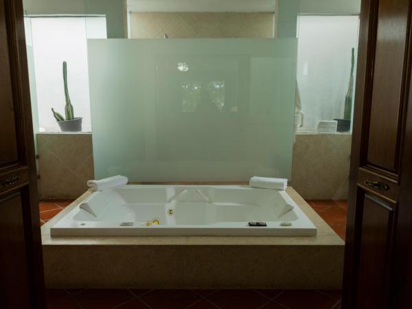 Hotel Boutique Casa de Campo : photo 5 de la chambre suite présidentielle