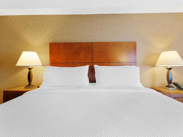 Sandman Hotel & Suites London Downtown : photo 3 de la chambre chambre lit king-size