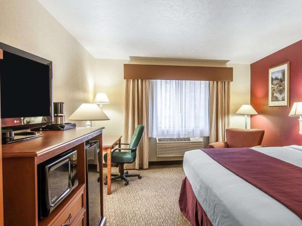 Quality Inn Downtown Convention Center : photo 2 de la chambre chambre lit king-size - non-fumeurs