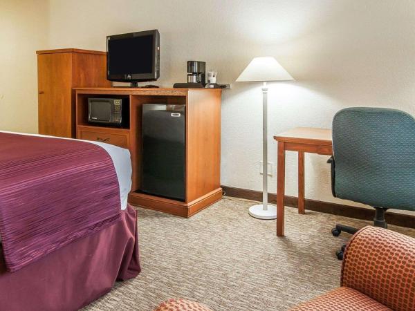 Quality Inn Downtown Convention Center : photo 4 de la chambre chambre lit king-size - non-fumeurs