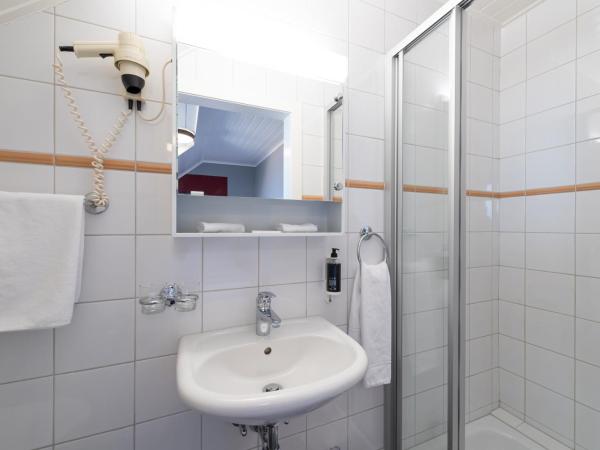 Châtonneyre Hotel & Restaurant : photo 4 de la chambre chambre simple