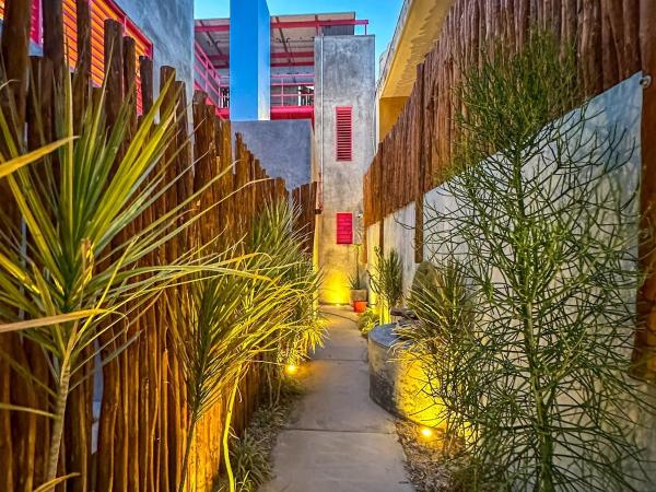 Room Mococha espacio en el centro de la ciudad : photo 3 de la chambre appartement