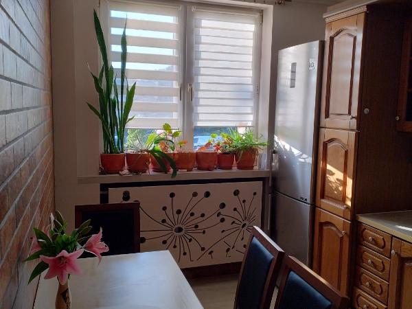 Pokoje Szczecińska : photo 1 de la chambre chambre simple avec toilettes et douche communes