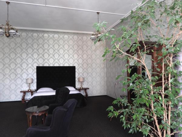 Matejki 8 : photo 5 de la chambre the karge suite with king-size bed, balcony and open bathroom