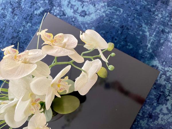 Smart Hotel Budapest & Apartments : photo 2 de la chambre family studio 130m from the main building