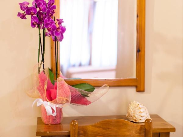 Alexandria Hotel : photo 4 de la chambre chambre simple