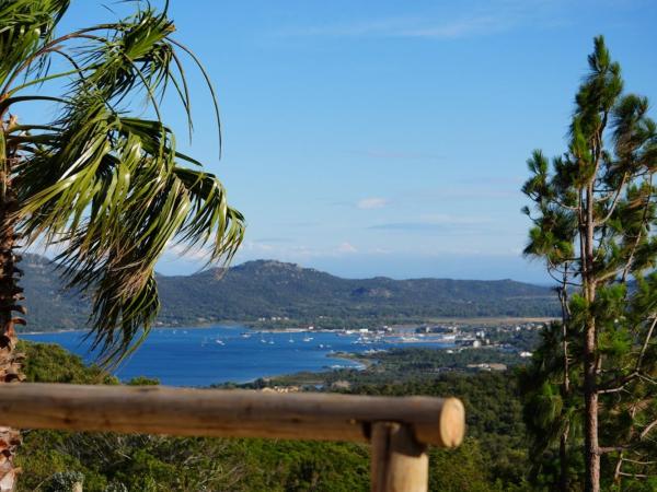Villa L'Arbousière : photo 10 de la chambre suite avec jacuzzi